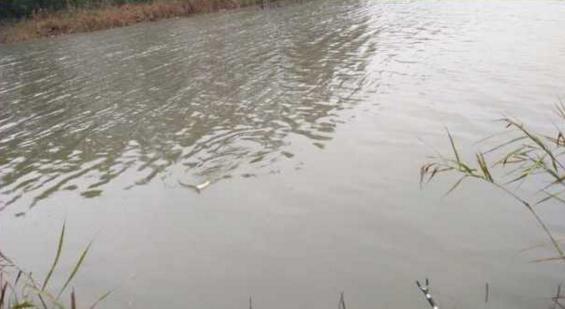 钓鱼人太牛！大风大雨中垂钓也能迎来鲤鲫大丰收