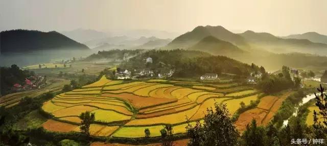 钟祥还能不能去,对不起我要离开了文章