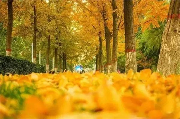 2016年“中国最具幸福感城市”榜单发布，石家庄竟然没有上榜