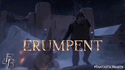 读了麻瓜麻鸡魔法入门，《神奇动物》会好看100倍