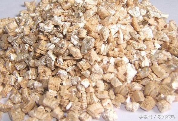 粗河沙可以当多肉的铺面石吗,多肉铺面石用小石子可以吗