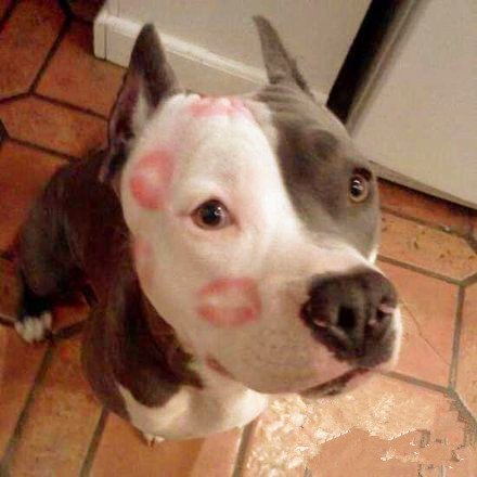 我眼花了怎么办,眼花有救了太实用了