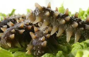 市场上600至1000元一斤的海参,低价即食海参内幕