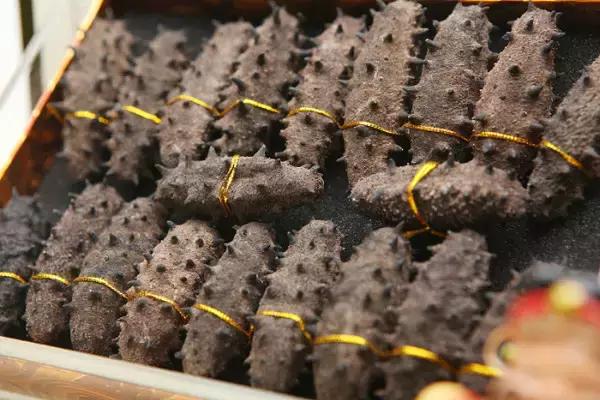 市场上600至1000元一斤的海参,低价即食海参内幕