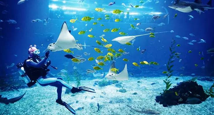 韩国首尔自由行4天三晚,韩国首尔五晚四天跟团游旅游攻略