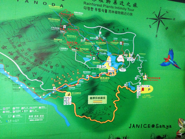 森林氧吧游玩攻略,宝界森林公园游玩攻略