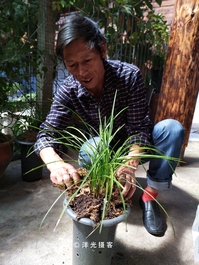 这个民族的祖先因战败被迫流离失所，却创造出世界上独一无二奇迹