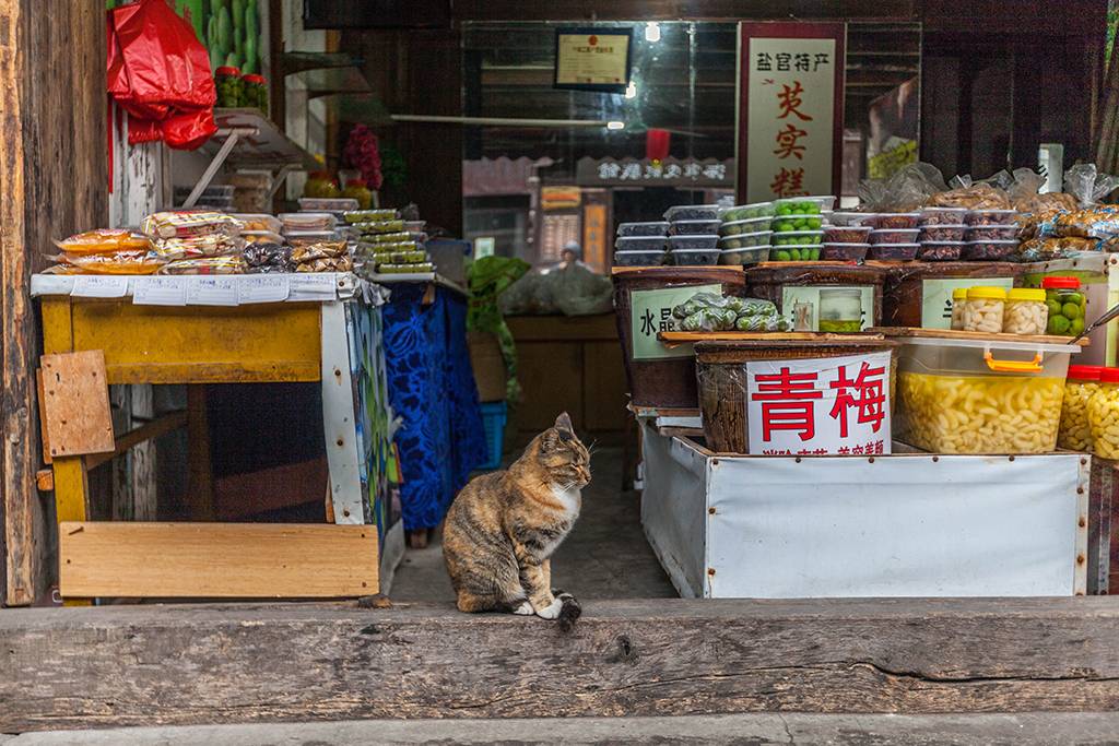 距离杭州仅30公里车程,距离杭州一小时车程的景点