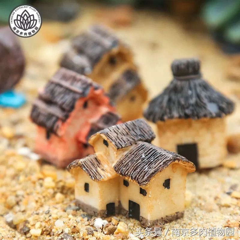 乐高积木成人款植物多肉,小玩具乐高