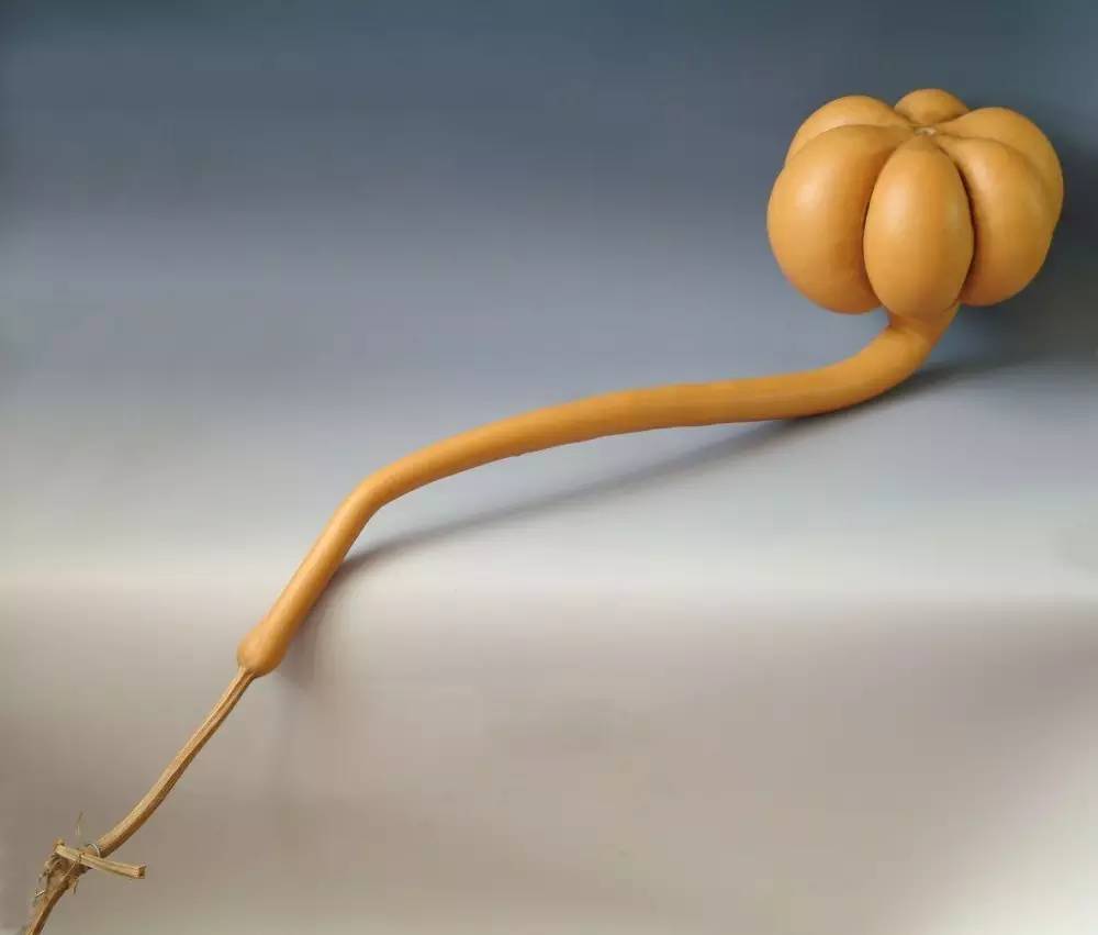 葫芦和如意哪个寓意更好,有寓意福禄满满的小葫芦