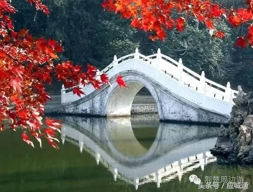 应来之城全景图片,中国湖北应城