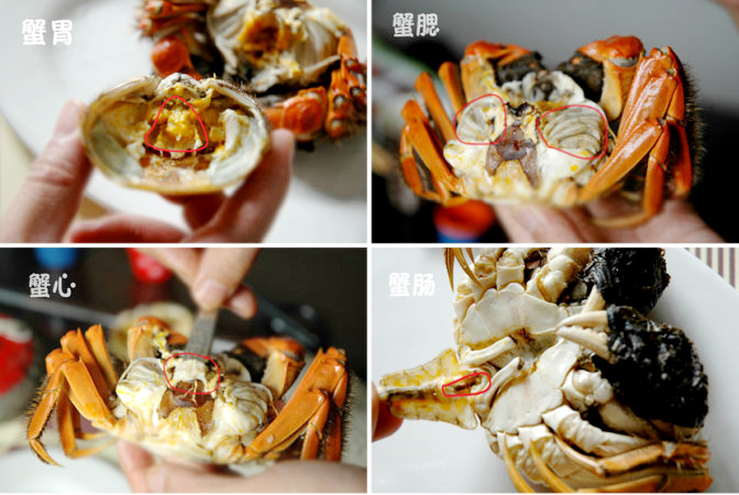 老渔翁吃鱼,老渔翁海鲜