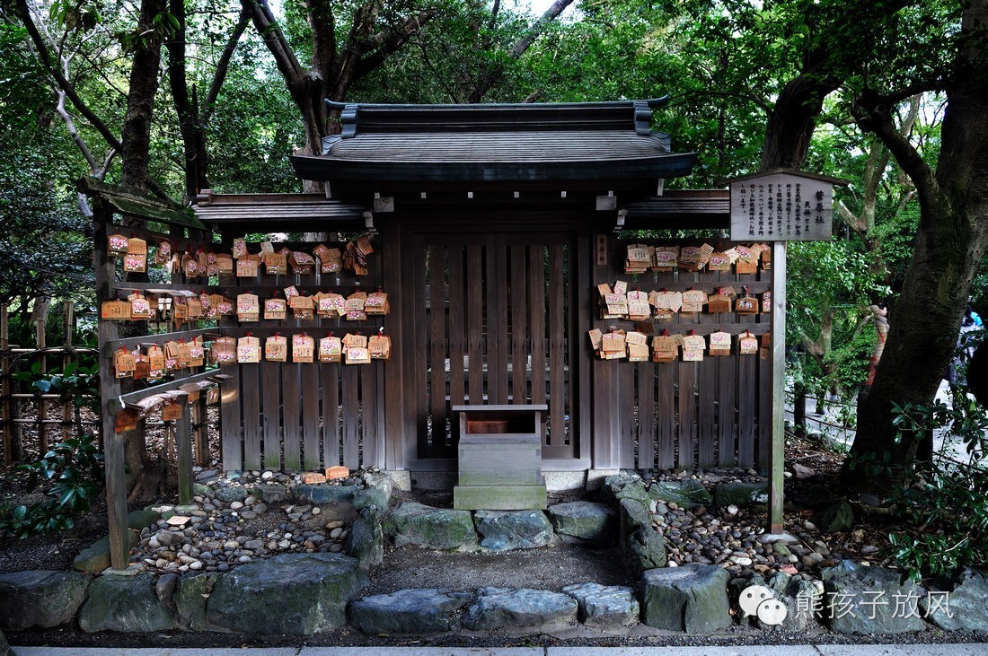 这个冬天我们一起去日本看雪,去日本看雪景哪个地方好