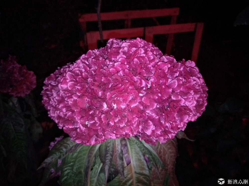 oppor9s值得入手吗,oppor9splus