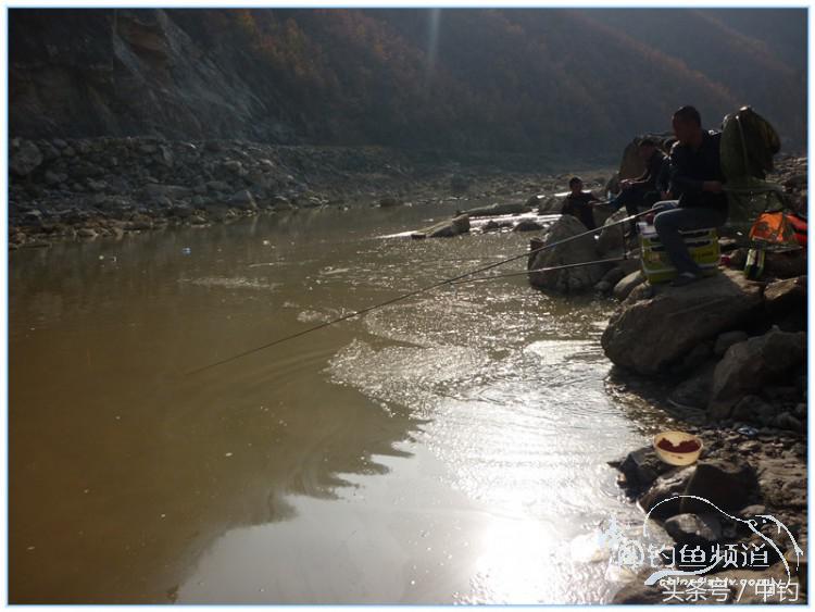 虎岭钓鱼路亚,虎岭钓鱼场