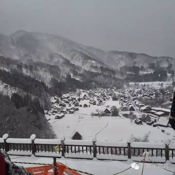 这个冬天我们一起去日本看雪,去日本看雪景哪个地方好