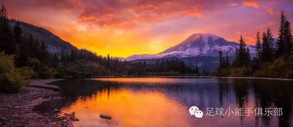 足球小能手今日推荐,足球小能手推荐