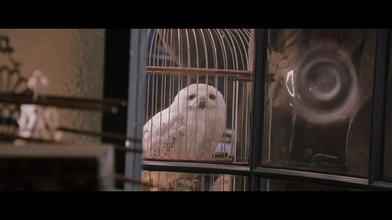 你还记得那颗干鼻屎味道的多味豆吗