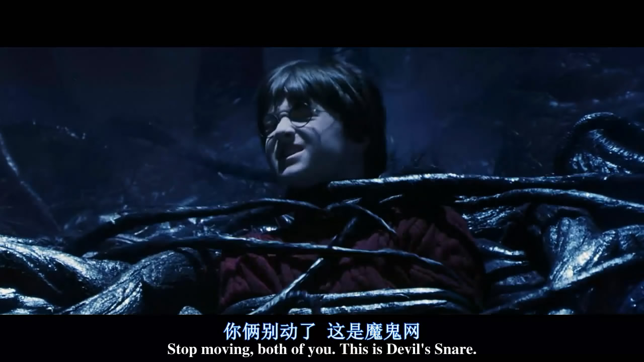 你还记得那颗干鼻屎味道的多味豆吗