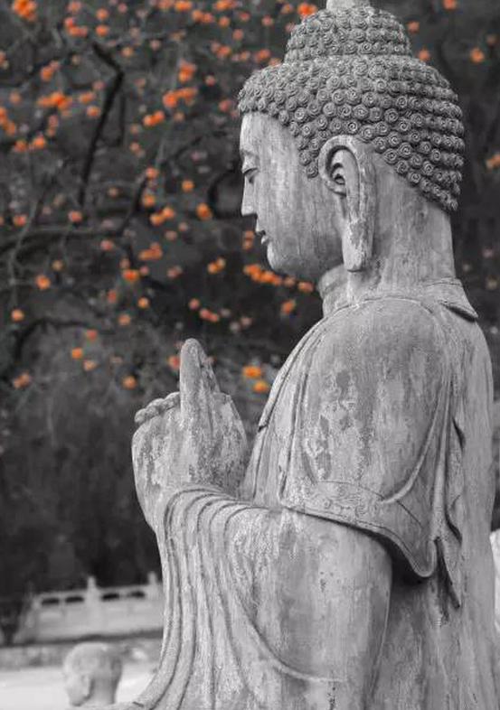 无需走远风景就在身边,不用远去风景就在眼前