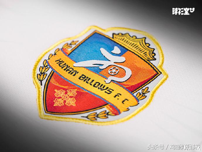 卡尔美中甲联赛,卡尔美亚洲杯球衣