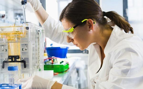 补脑黄金dha的功效,孩子需要补dha是不是会很聪明