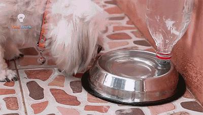 逆天改造系列,逆天改装的视频