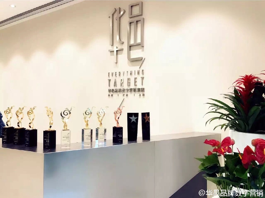 机械猫实战效果,机械猫的运营模式