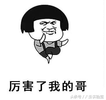 富二代郑恺,郑恺富二代疯狂追求女神