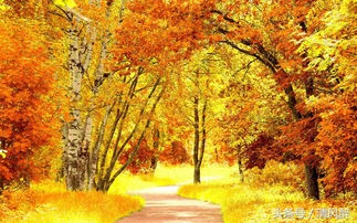 三个人友情语录短句子伤感,三个人的友情语录伤感文案