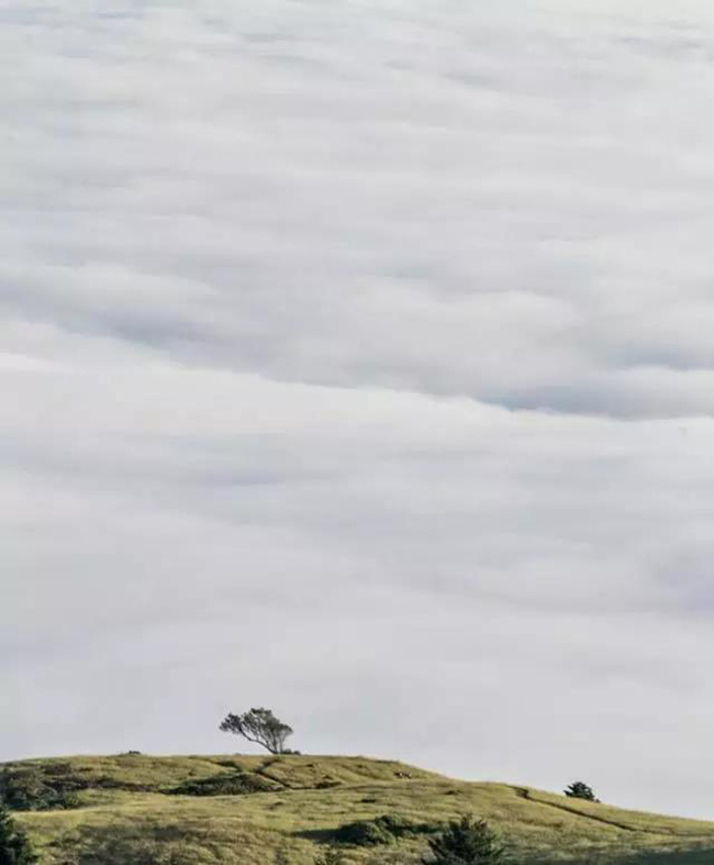 周末阅读丨Takeabreathifyoudare