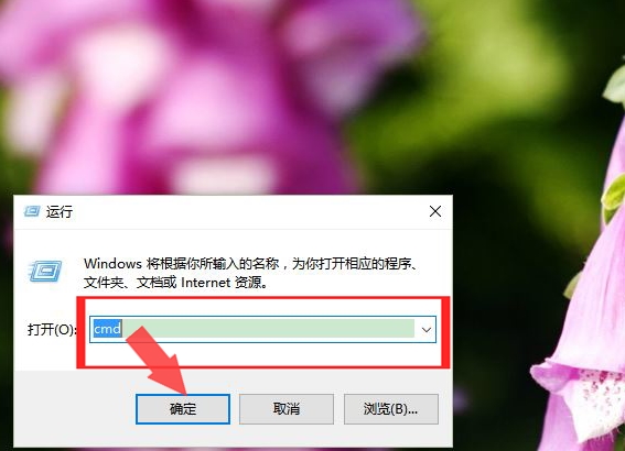 网站ip地址查询,最新网站域名ip地址