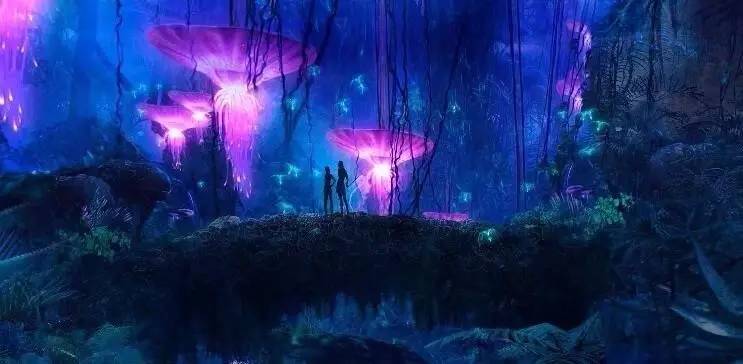 会发光的荧光蘑菇,会发光的蘑菇的种子