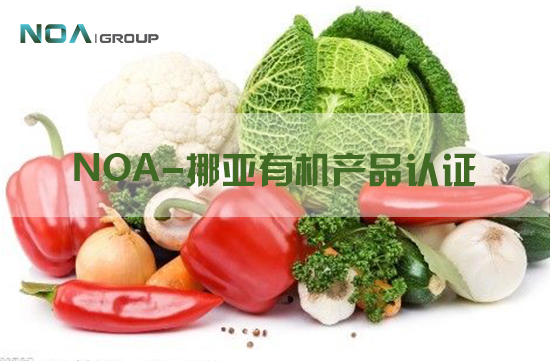 noa挪亚认证怎么样,noa挪亚