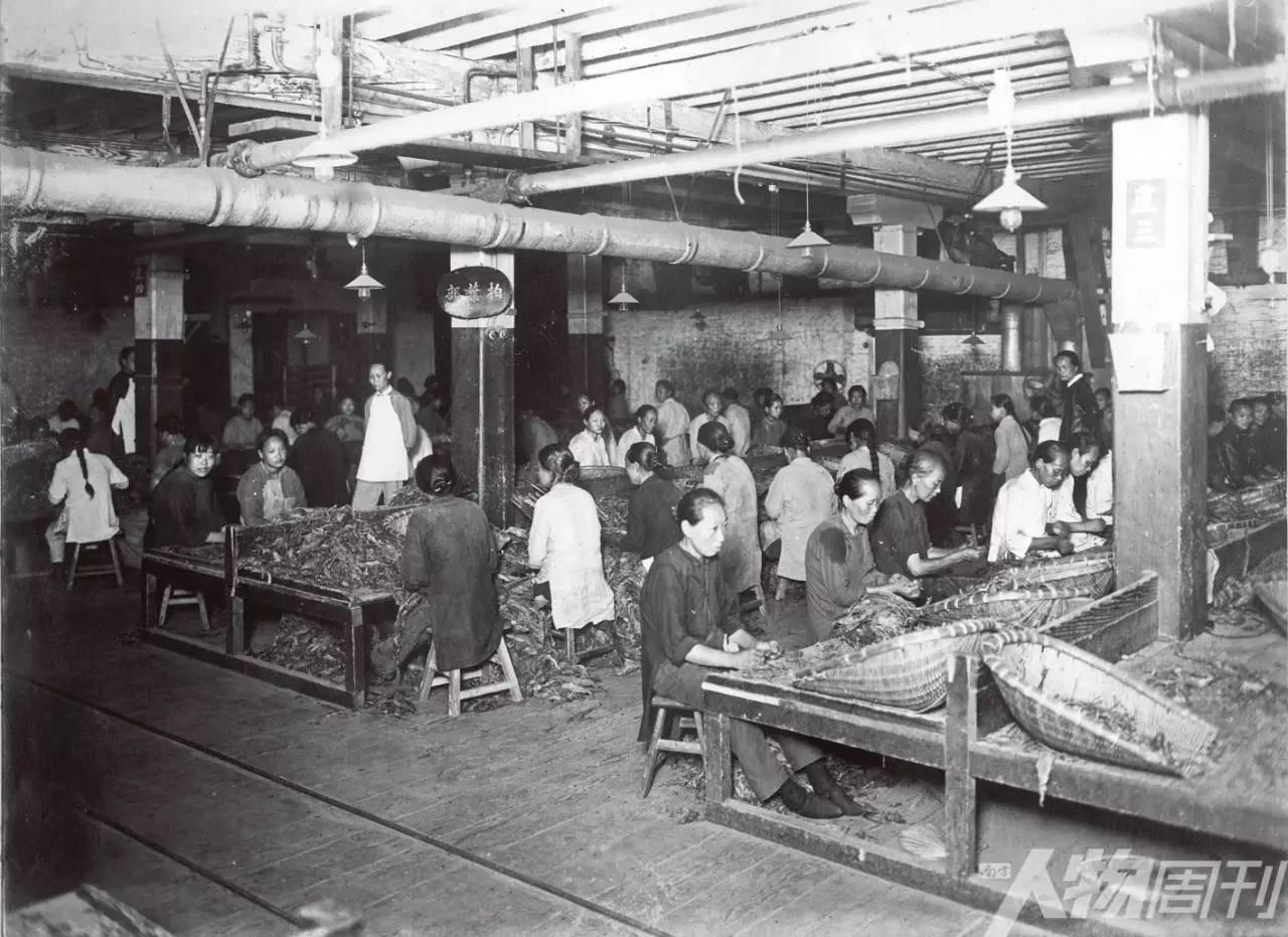 简氏兄弟毕生经历,简氏兄弟简介