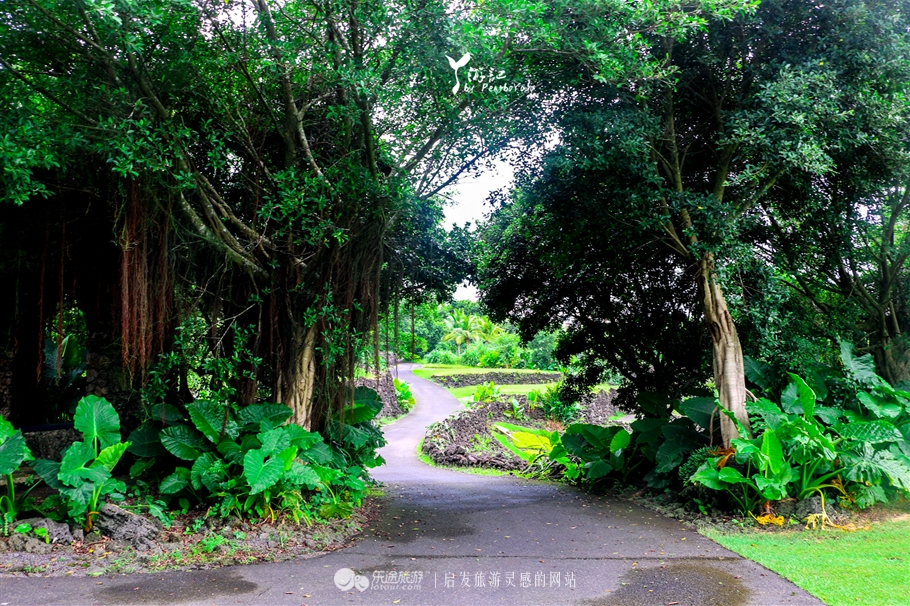 在海南除了看海还是看海,不去海南还有哪里适合看海