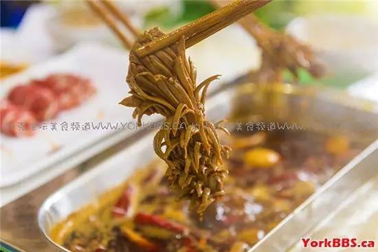 多伦多几家超赞的火锅店推荐，拿走准备过冬吧！