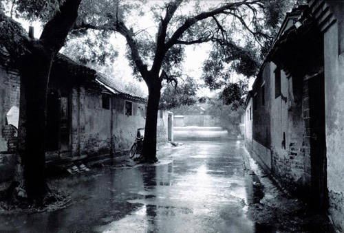 胡同回忆农家院,胡同回忆视频