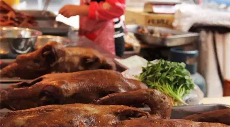 等了20多天，腊梅被退运了……