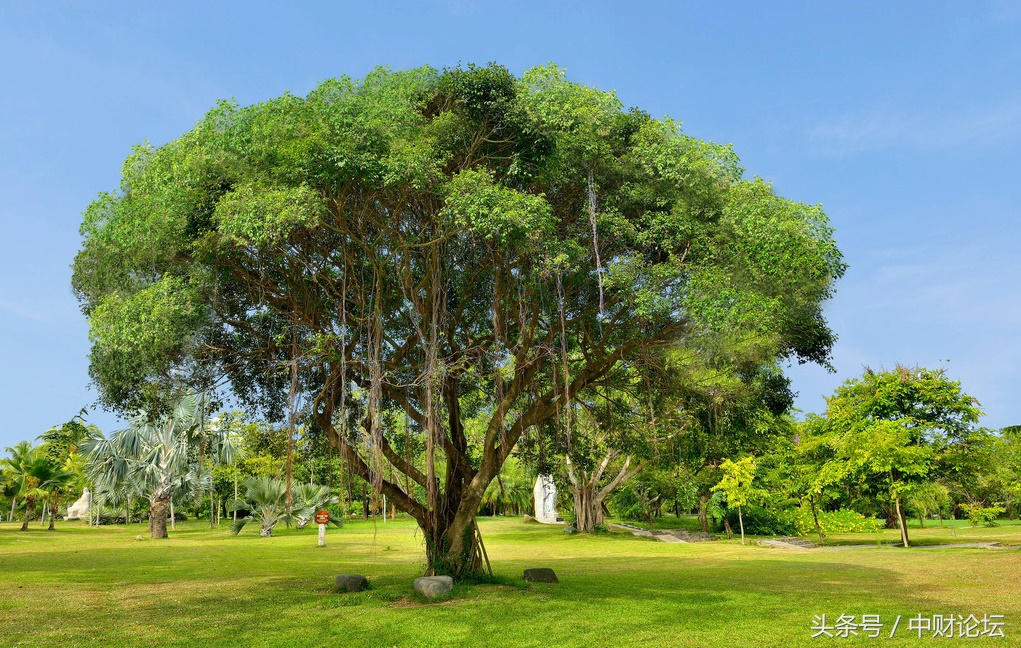 时光悠然原唱视频,时光悠然图片