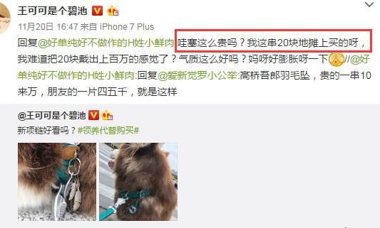 王思聪敢给王可可买这条狗链,看来是决心挑衅整个娱乐圈了