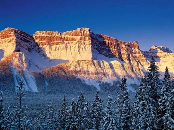 再不疯狂我们就老了下一句怎么说,完整版的再不疯狂就老了