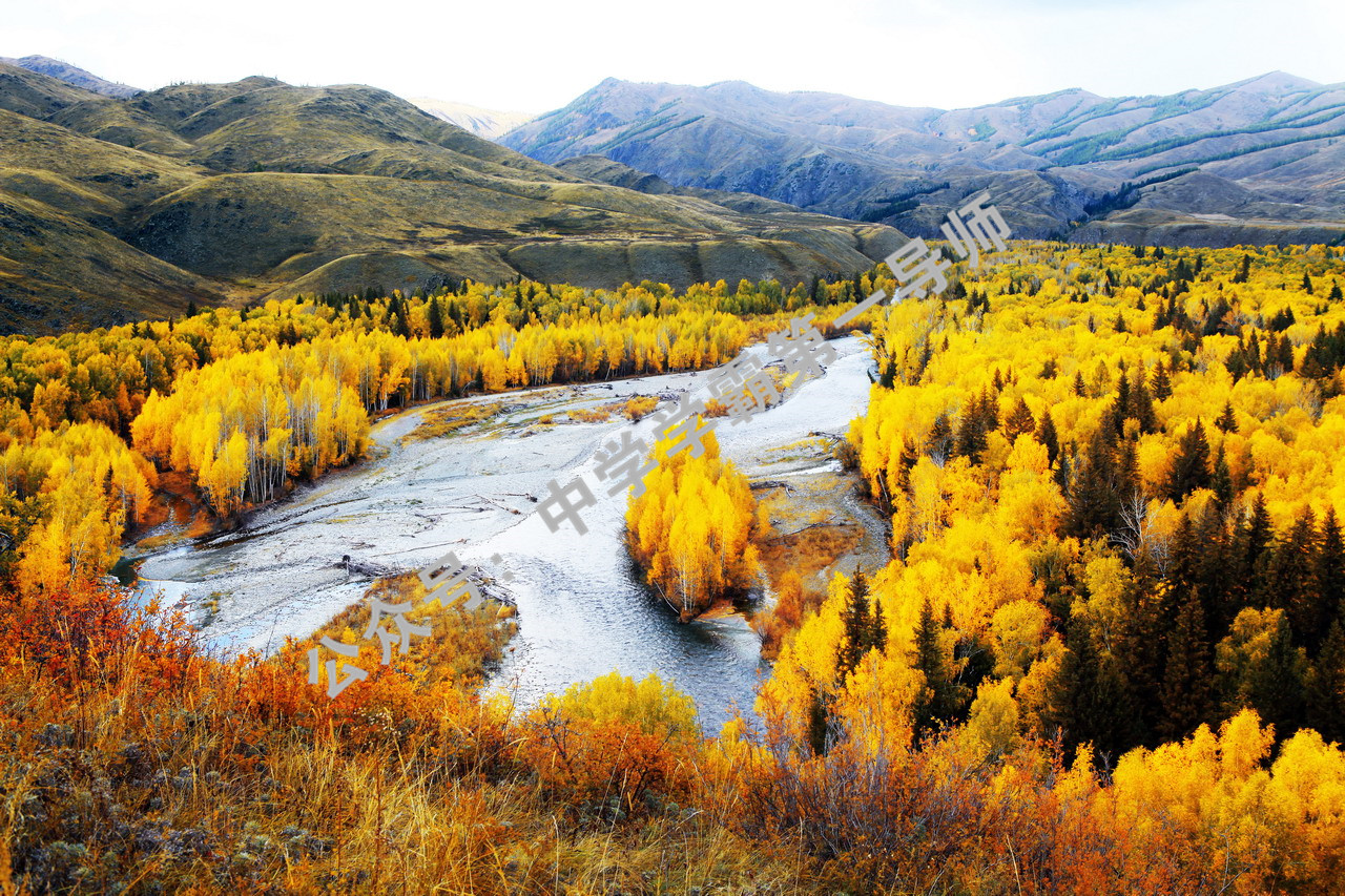 全疆最好高中,全疆前十高中排名