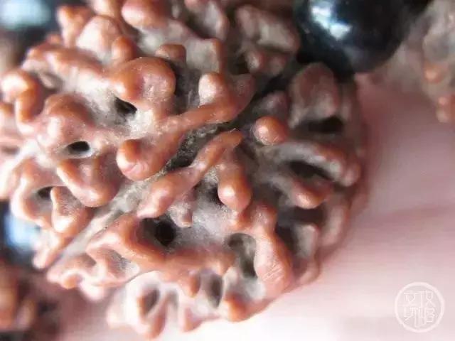 一串都玩不好,还想玩两串?来啊,给我剁了他的手!