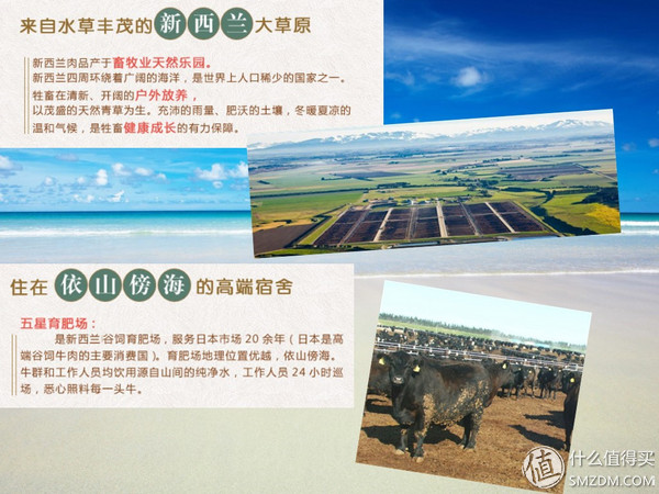 如何在中粮网上团购,中粮网上怎么卖