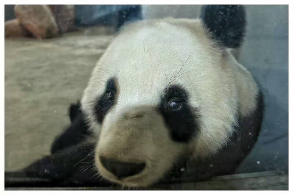 德州记者摄影师,德州专业摄影师