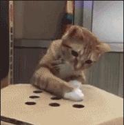 考完试后我决定了我要取个*疆新**名字