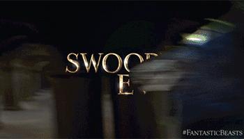 神奇动物中的咒语都有哪些,神奇动物50个常识