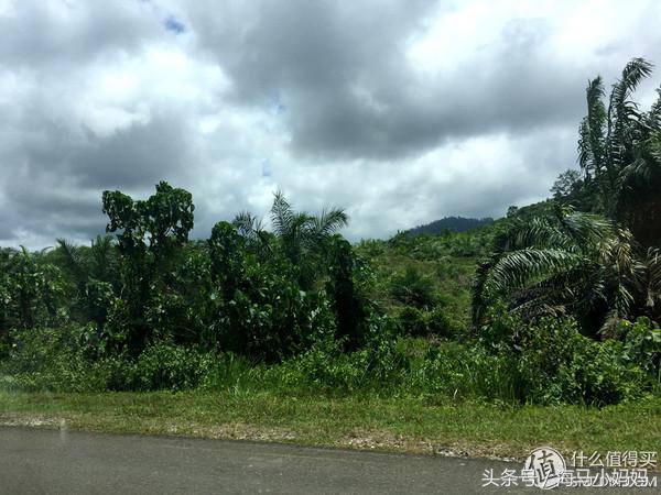 仙本那考潜水证日程,去仙本那潜水要考什么证