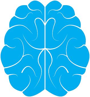 左右脑思维测试,左右脑思维方式